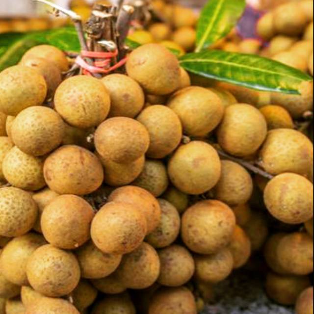 

Lengkeng Bangkok Super/500gr (tanpa Ranting)