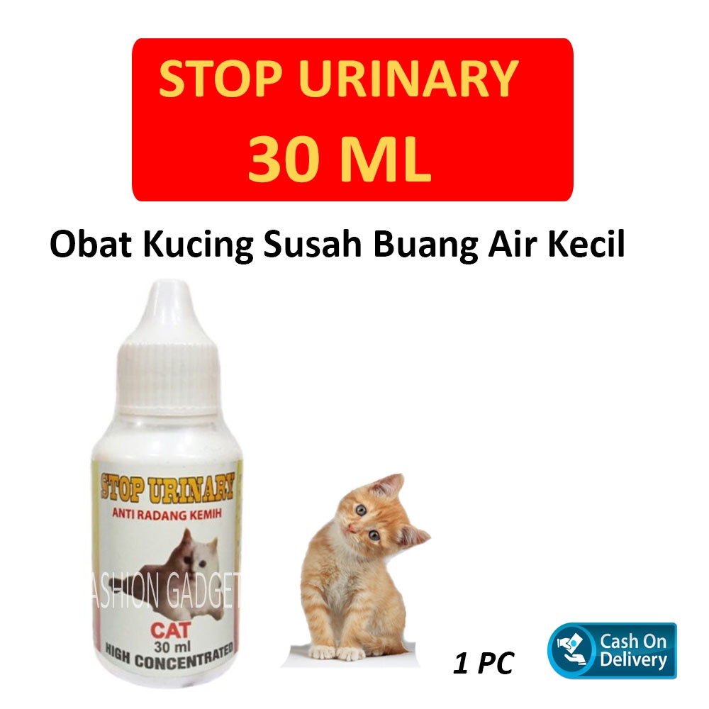 Stop Urinary Obat Kucing Susah Buang Air Kecil Kucing Infeksi Radang Kemih Kucing Infeksi Saluran Kemih