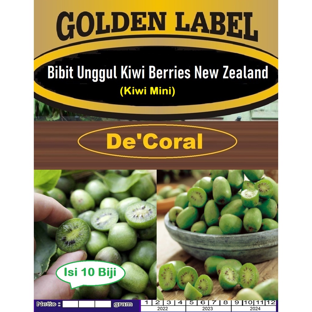 Bibit Unggul Kiwi Berries New Zealand |Kiwi Mini |Benih Kiwi Berries|Kiwi Berry|Bibit Kiwi Mini