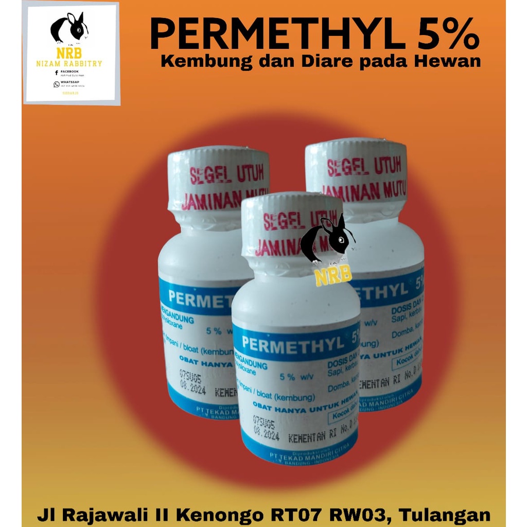 Permenthyl 5% obat kembung kucing anjing kelinci dan hewan lainnya