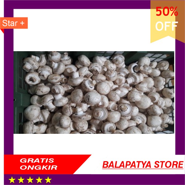 

BEST SELLER !!! Jamur Champignon Jamur Kancing Fresh Grade C 1 Kg