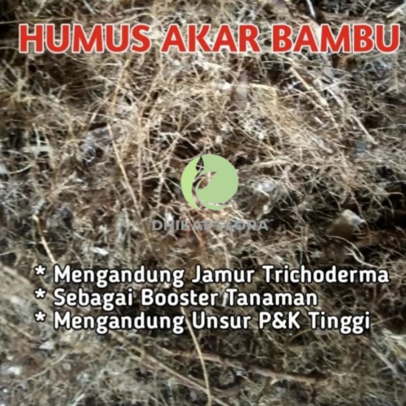 Humus Akar Bambu 1KG Media Tanam Premium