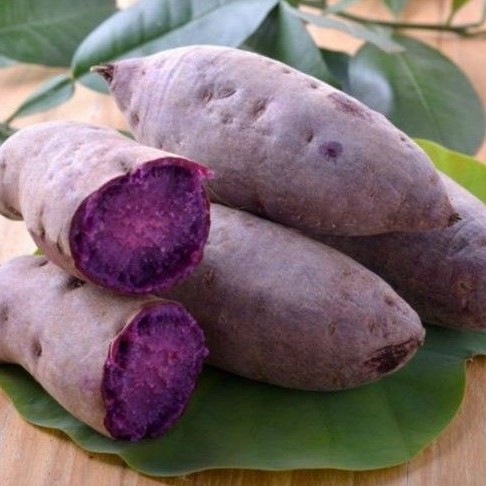 

UBI UNGU MENTAH FRESH / UBI MALAM / PURPLE SWEET POTATO /TARO 1 KG / PACK