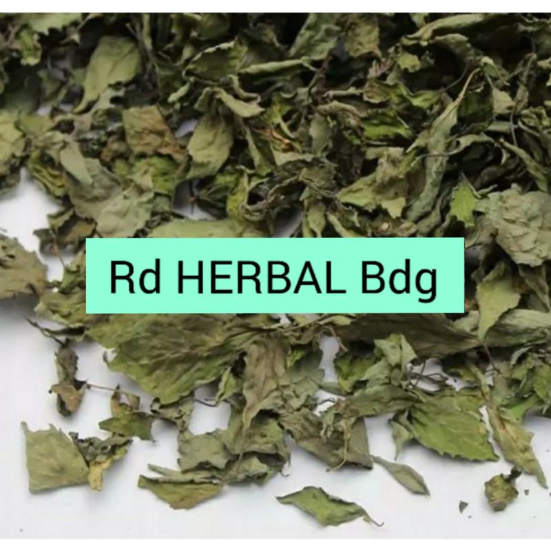 

Daun Pegagan Antanan Kering