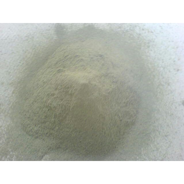 

Tepung zeolit