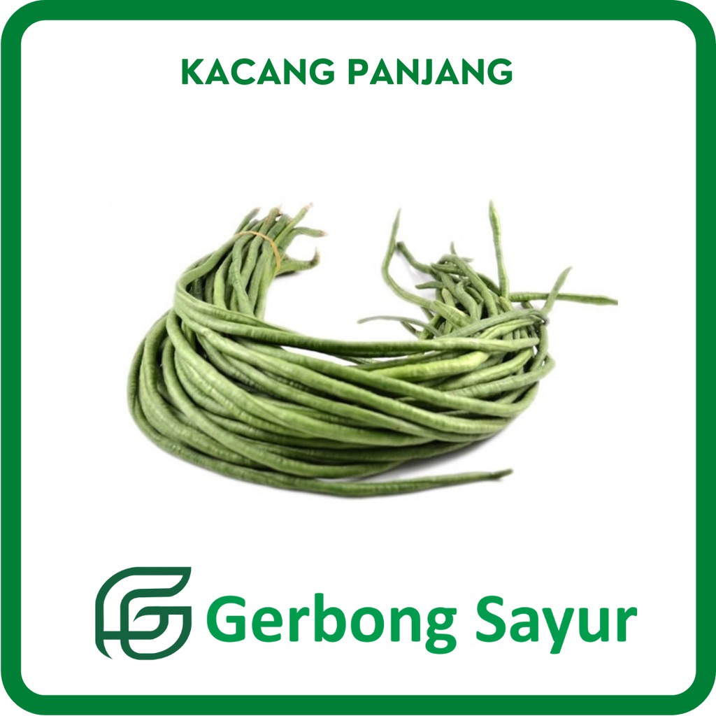 

Kacang Panjang Segar - 500g