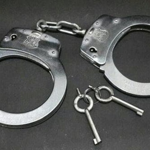 borgol satpam security terbaru 2021 pdh pdl atribut satpam perlengkapan borgol satpam