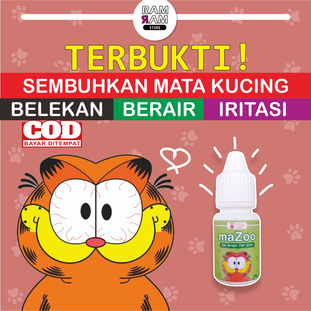 Obat Mata Kucing Obat Tetes Mata Kucing Trixin Belekan Berair Kitten Merah Bengkak Selaput Putih