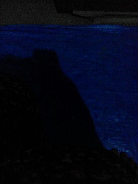 [freeongkir] 3in1 Rak Sepatu Gantung, Hanger Jilbab, Gantungan Tas