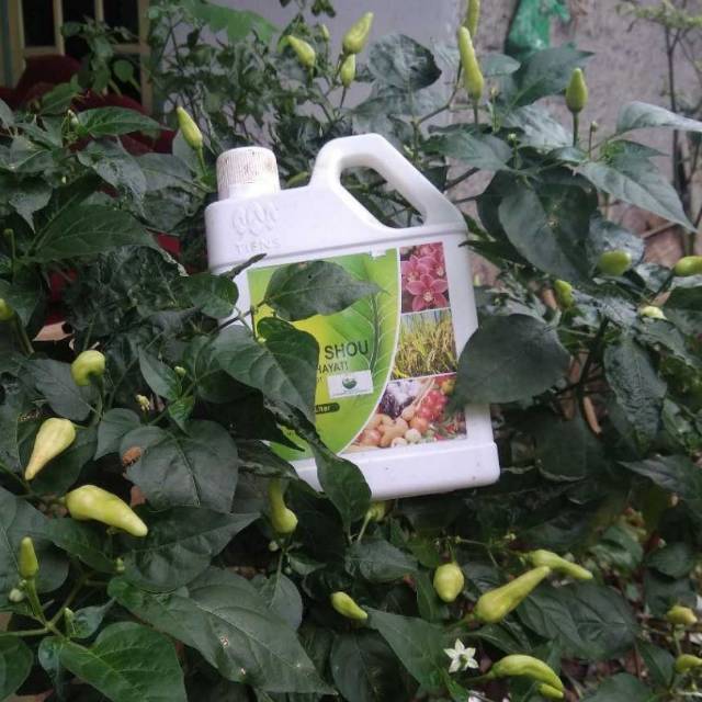 Feng shou / pupuk hayati