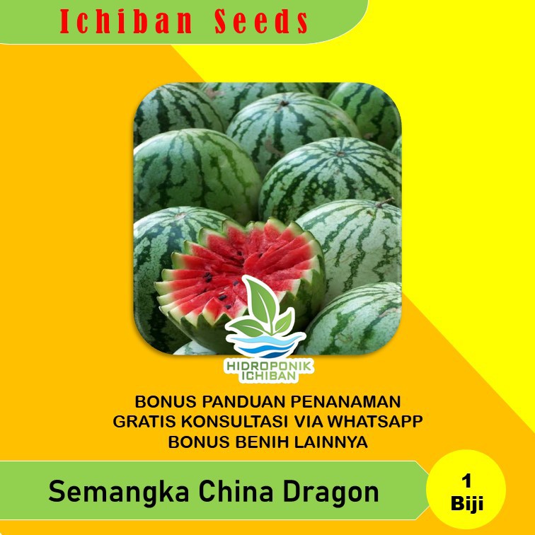 Benih Bibit Biji SEMANGKA CHINA DRAGON Kemasan Seribuan