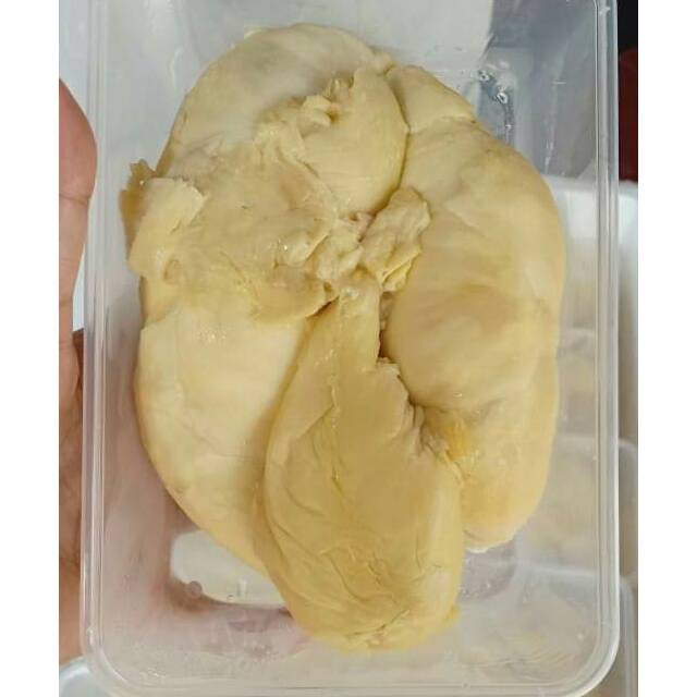 

Durian montong