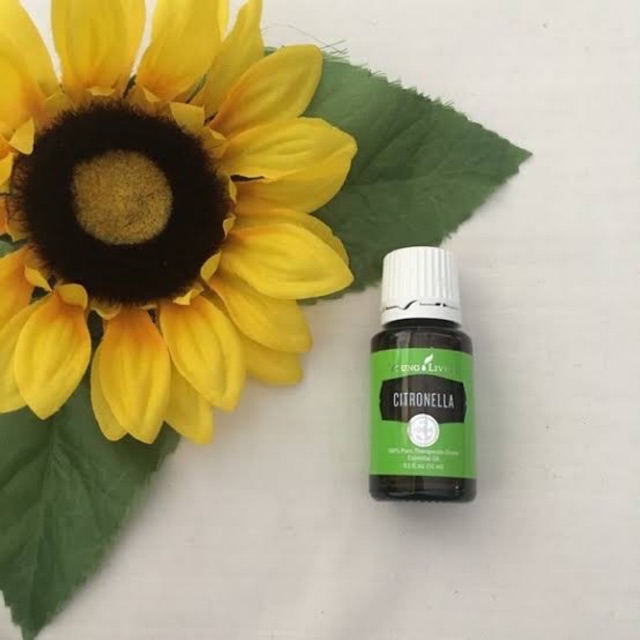 Citronella essential oil 15 ml YL