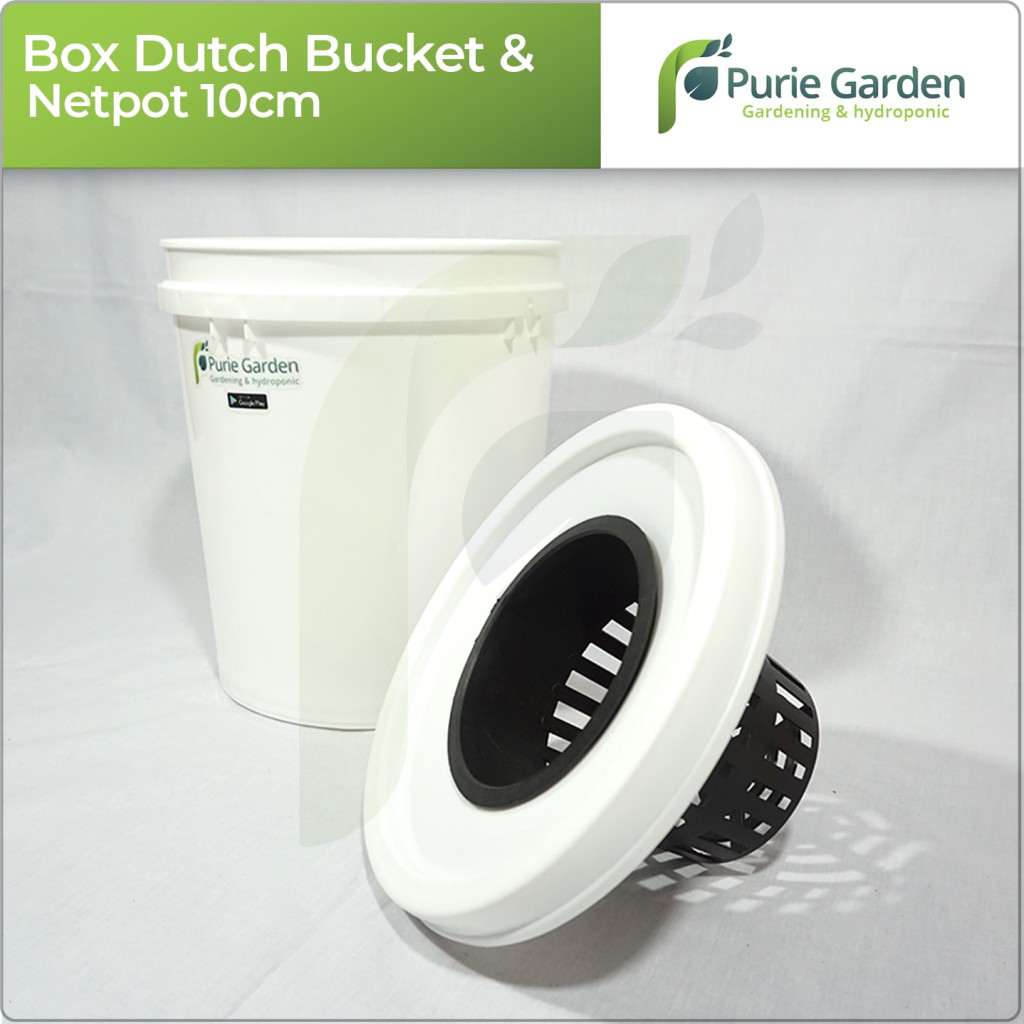 Box Hidroponik Dutch Bucket dan Netpot 10cm