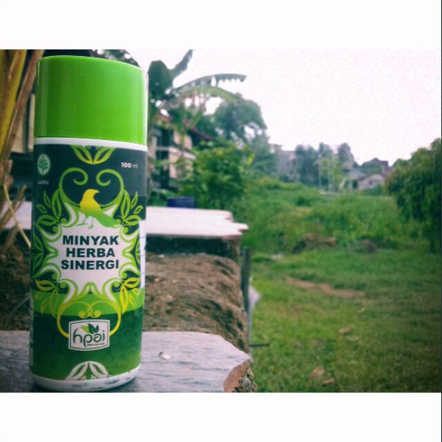 

Minyak Herbal Sinergi HNI HPAI