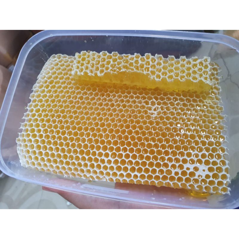 

MADU SARANG ASLI HUTAN LIAR BUKAN MADU TERNAK.....!