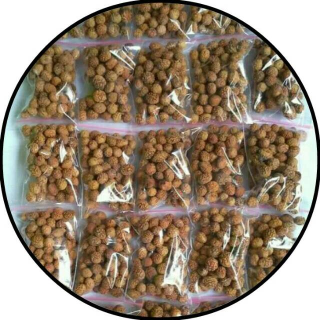 Jual Biji Pohon Bidara Arab Asli Daun Bidara Bidara Manfaat