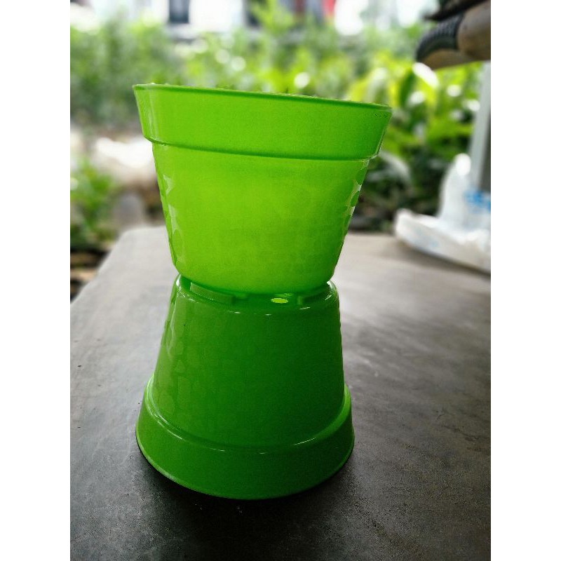 pot plastik warna hijau ukuran 20 cm