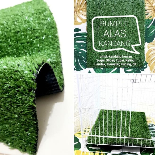Buruan!!!352AH ALAS KANDANG 50 x 15 cm rumput alas kandang kelinci 
