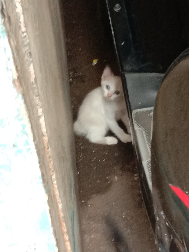 Storage Keranjang Multifungsi Desktop Box Organizer Nj55