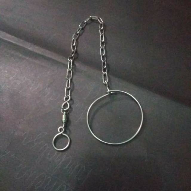 Rantai Kakatua Medium Macaw BnG Full stainless Stell Medium Parrot