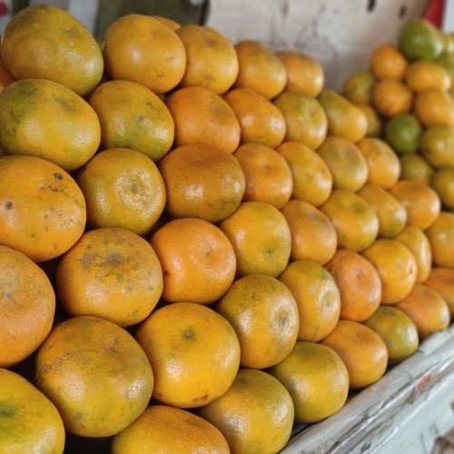 Jeruk Medan SUPER [ 1kg / 2kg ] Buah Fresh Manis Segar Bandung