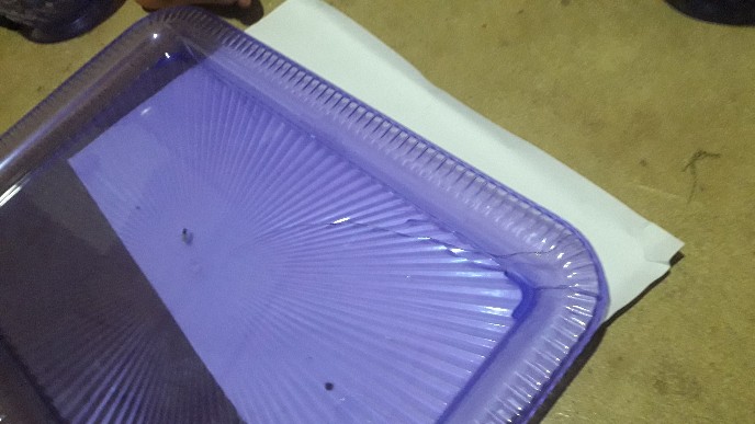 Toples Kue Kering / Toples Tempat Kue Lebaran Natal Imlek / Toples Sakura Genki Market