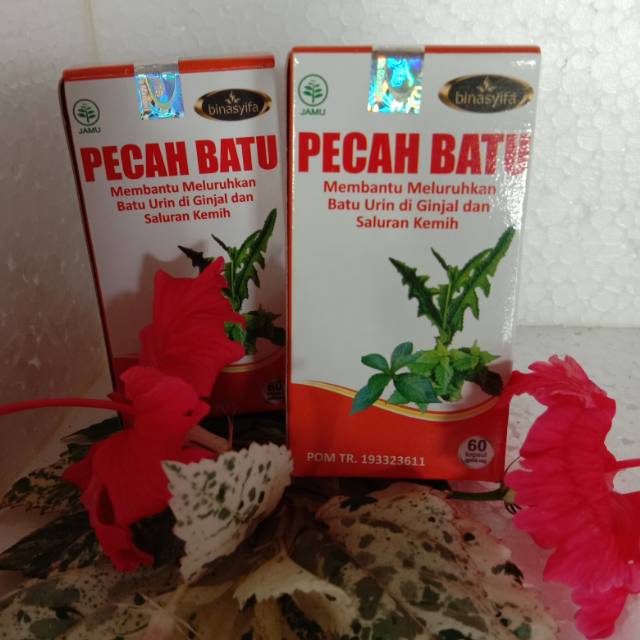 Pecah Batu penghancur Batu ginjal