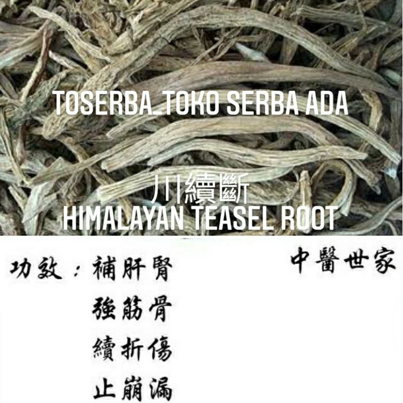 

100gr Herbal Liu Han 川六汗 川續斷 Chuan Xu Duan Himalayan Teasel Root Radix Dipsaci Grade A