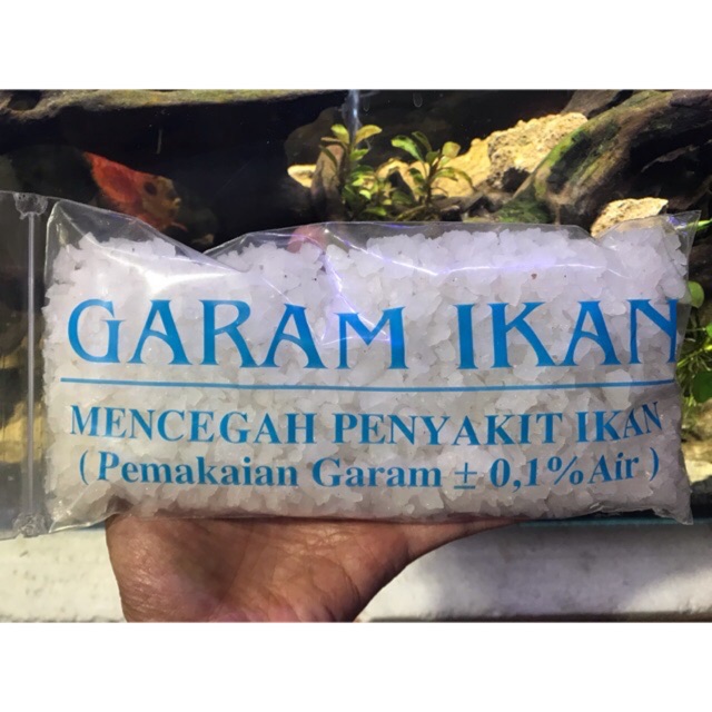 

Garam ikan