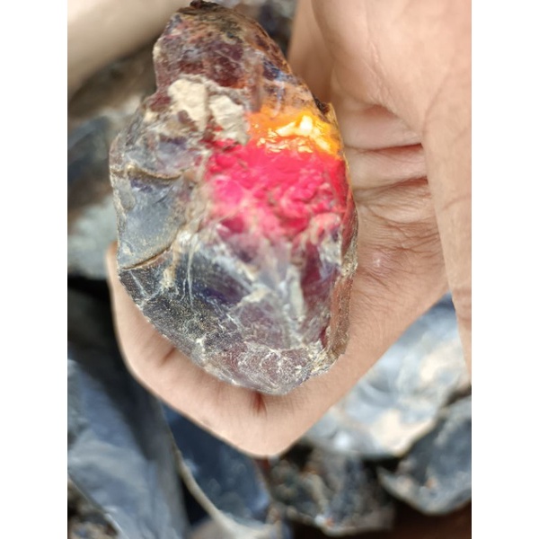 getah katilayu asli alam