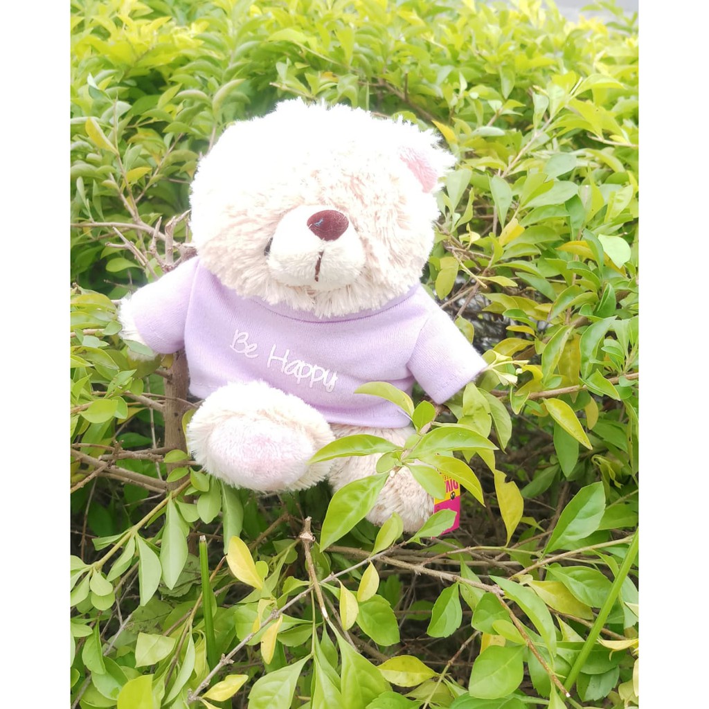 BONEKA TEDY BEAR T-SHIRT 6 INC