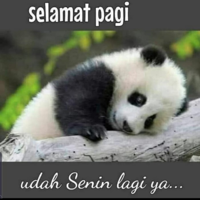 

(TERLARIS) paket atk AHMAD