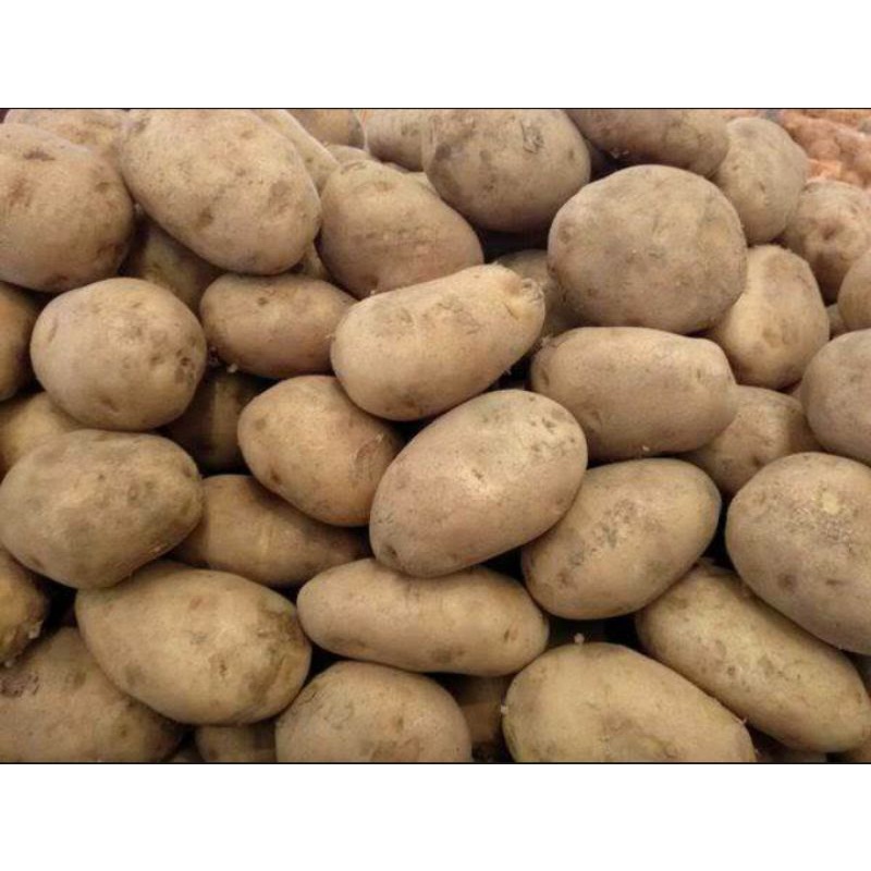 

Kentang kuning Kentang Dieng 1 kg