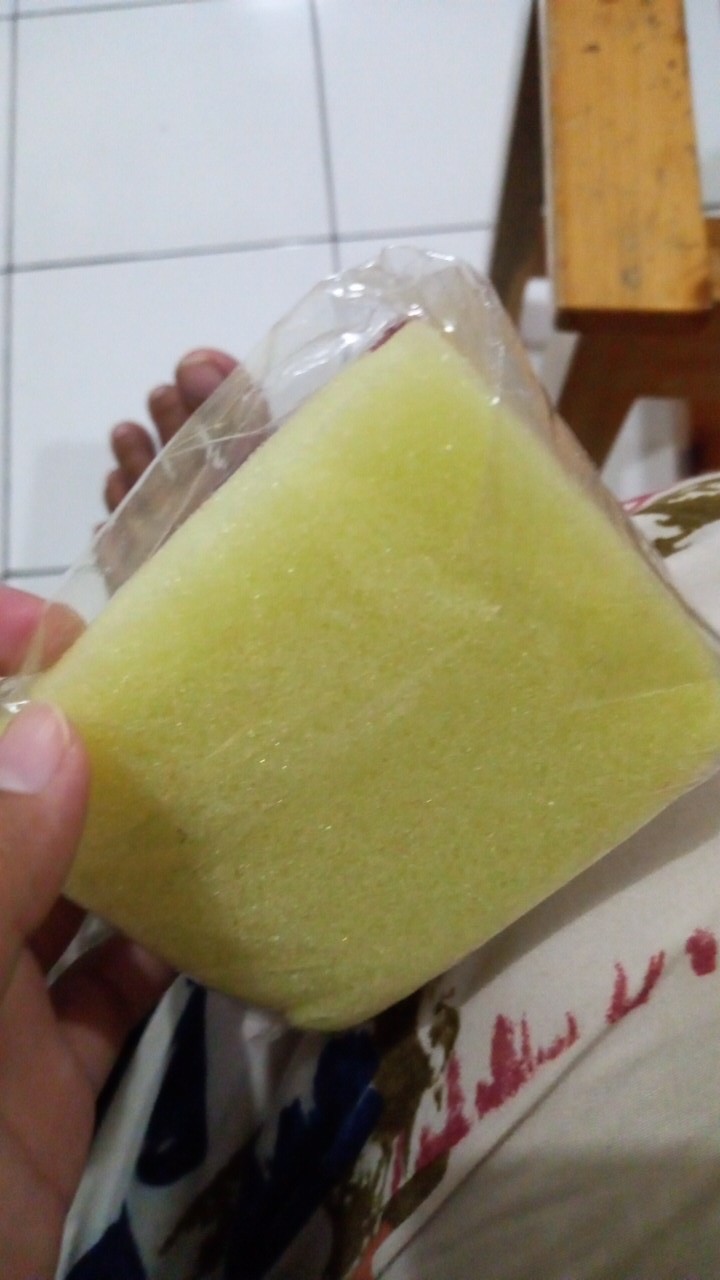 Hlokh886 Pembersih Sponge Cuci Piring 2 Sisi Spons Cuci Serbaguna Catty Spon Cuci Piring Sabut Busa