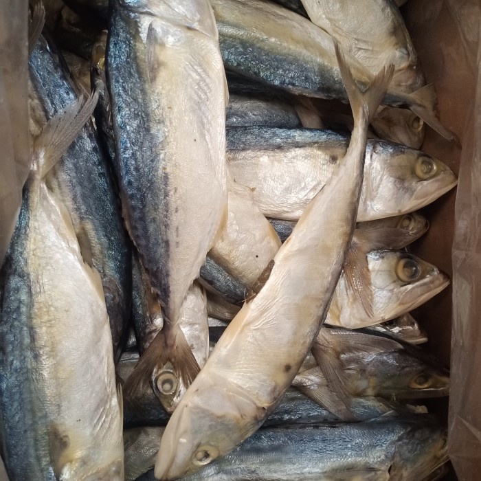 

ikan asin peda putih 1 kg 8 ekor Fresh.