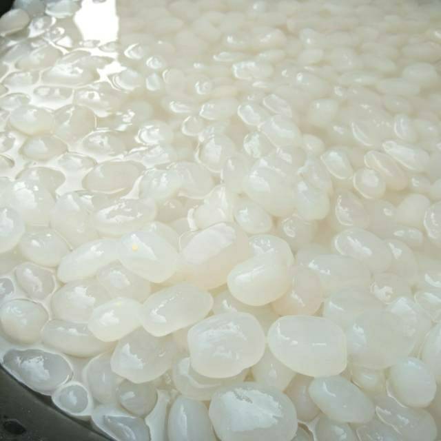 

Kolangkaling muda 600 gram kolang kaling baru original