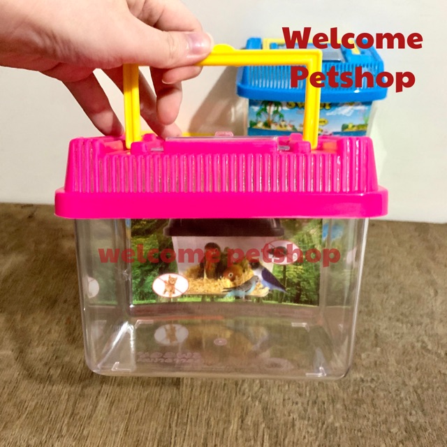 Sweet Terrarium No.1 / Aquarium untuk Ikan / Hamster / Kura Kura / Burung