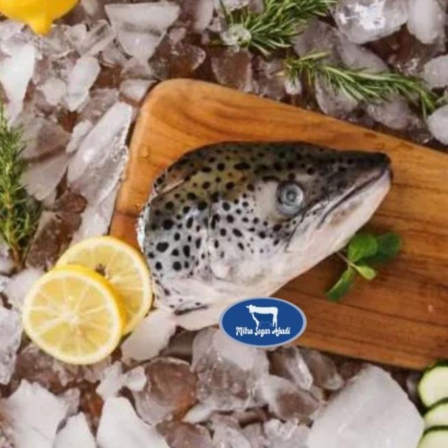 

✶ Kepala Salmon Norway ✿