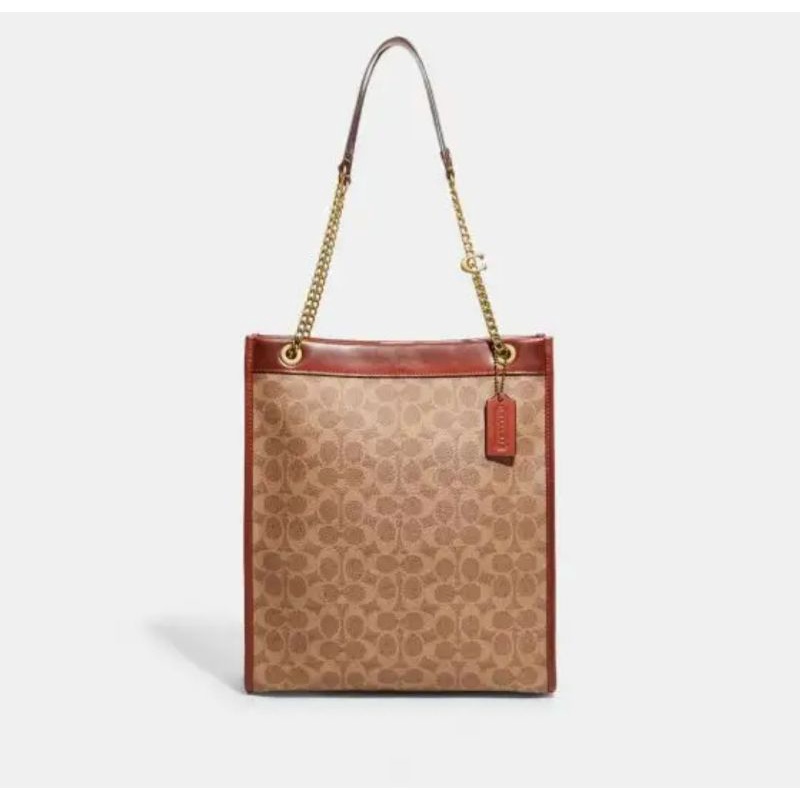 Coach Chain Cashin Tote In Signature Canvas (C6620)