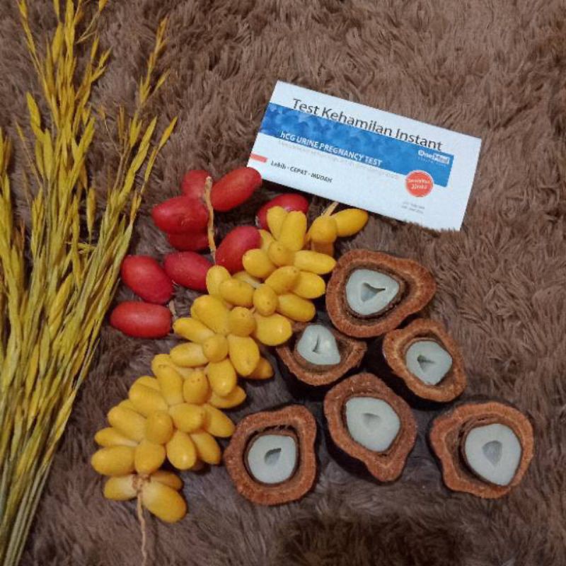 

KURMA MUDA 1/4 +3 BUAH ZURIAT Y SUDAH DIBELAH + TESTPACK (PAKET)