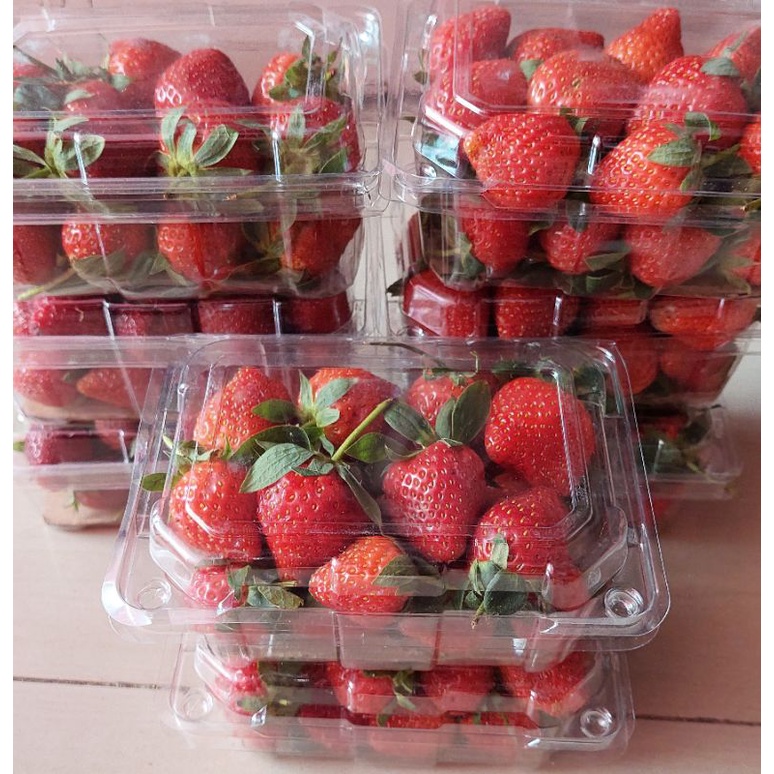 

Strawberry Ciwidey Segar 250 gram
