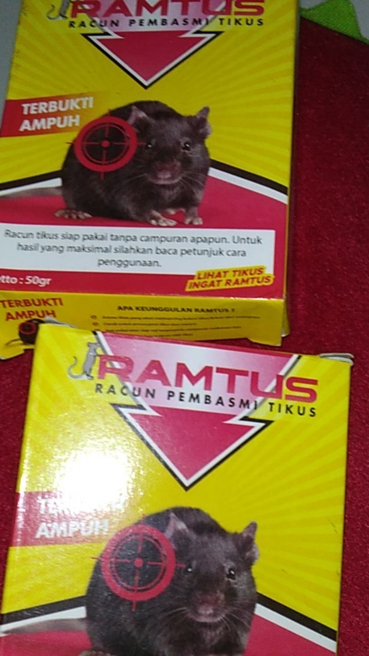 Ramtus Racun Tikus Ampuh Mati Kering Tidak Bau Pembasmi Curut Wirog Mencit Dirumah Di Mobil 2 Pack