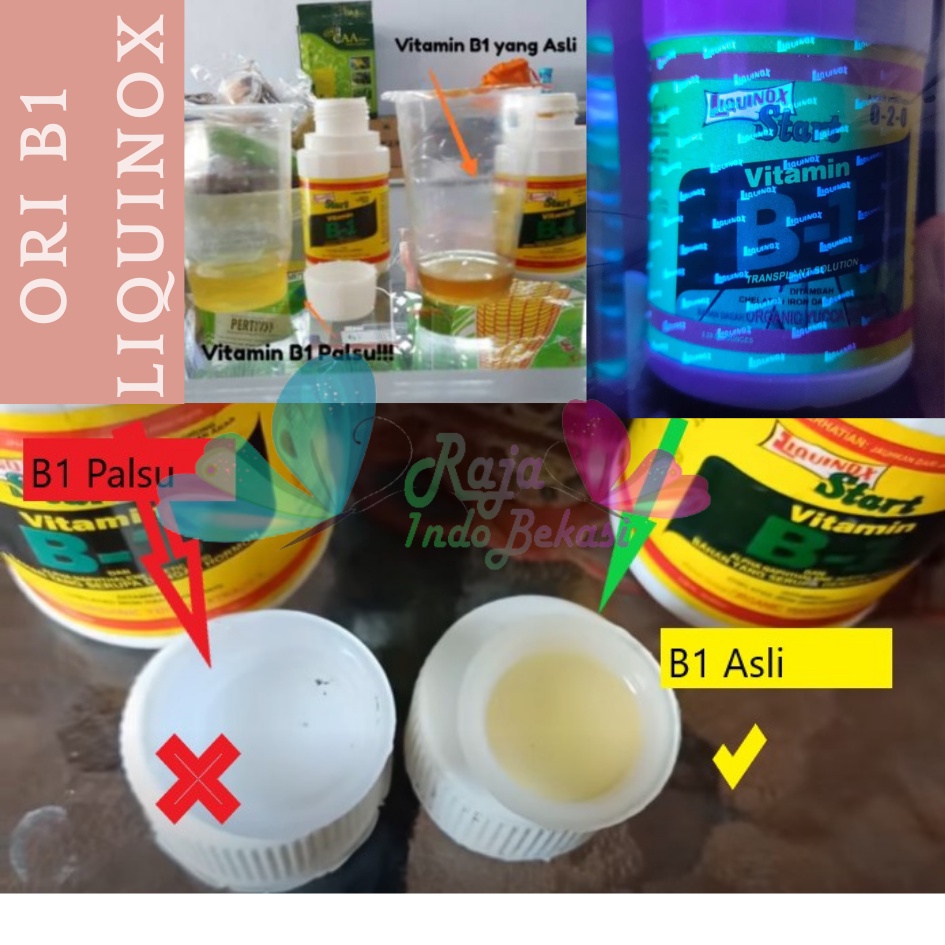 Ori B1 Liquinox 100 Ml Penumbuh Akar Obat Anti Stres Vitamin Nutrisi B1 Tanaman Bibit Stek Cangkok