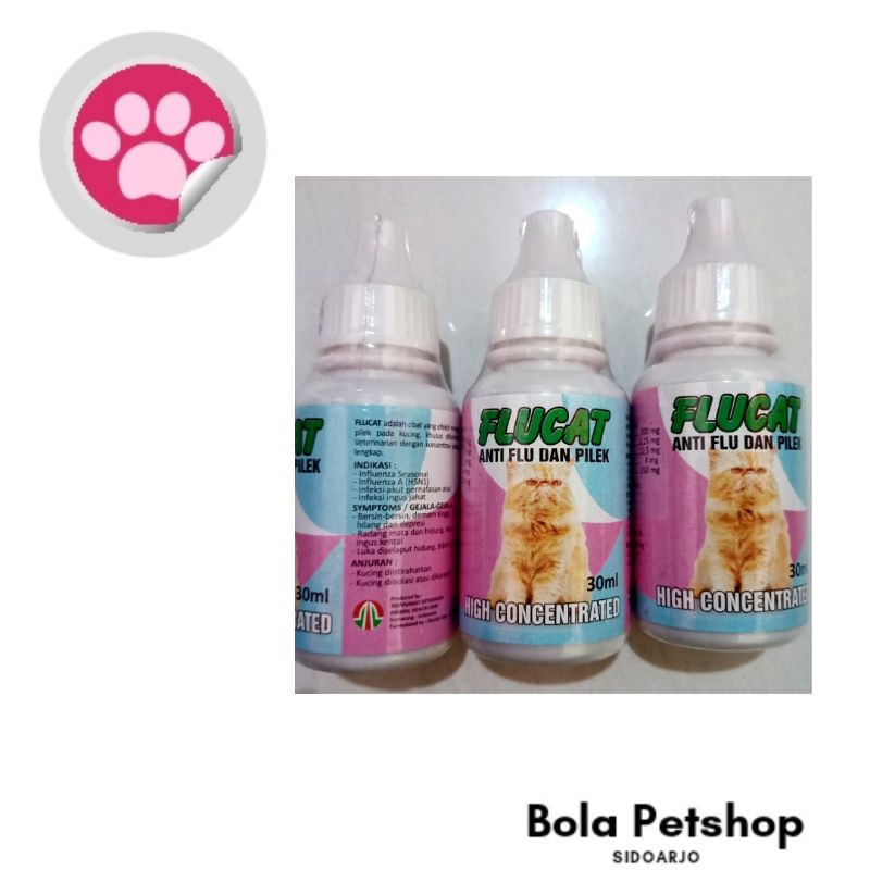 Flu cat obat flu untuk kucing