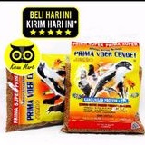 Prima Voer cendet pur pentet pakan murai kacer jalak pleci prenjak