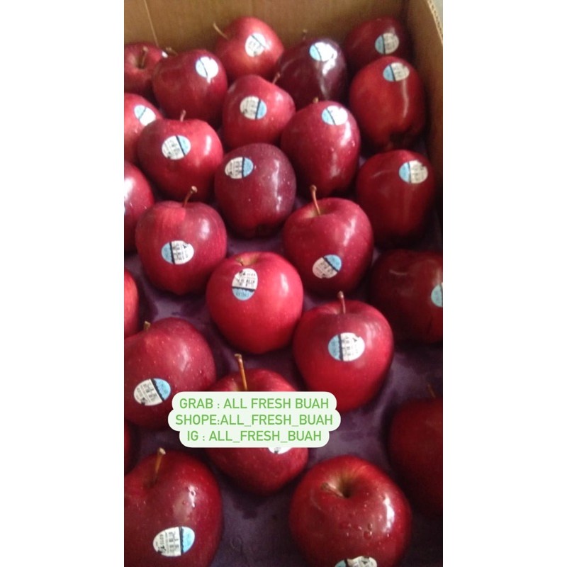

Apel Merah Premium Manis Renyah