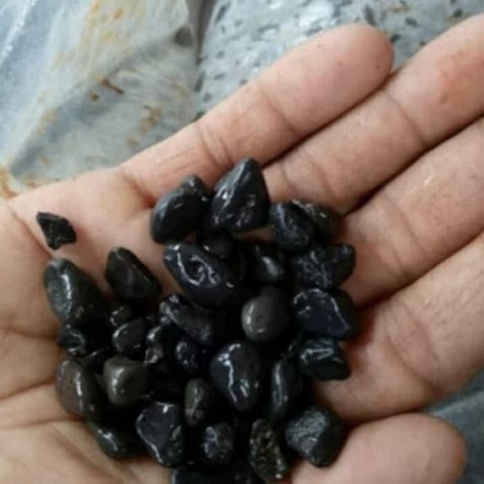 Batu Koral Hitam Bengkulu 500gram - Batu Hiasan Taman&aquascape