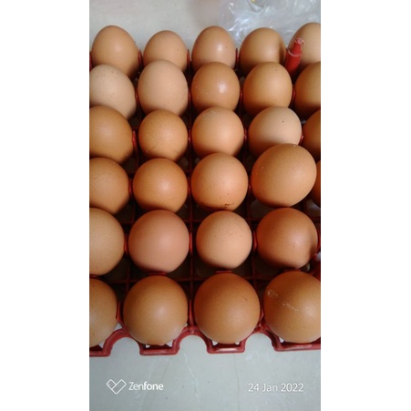 

telur ayam 1kg