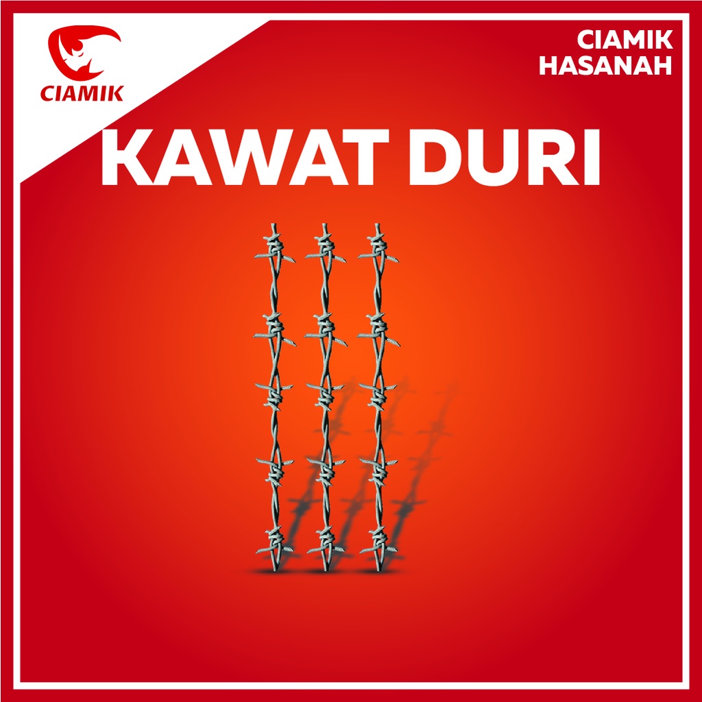 Kawat Duri Galvanis Pagar